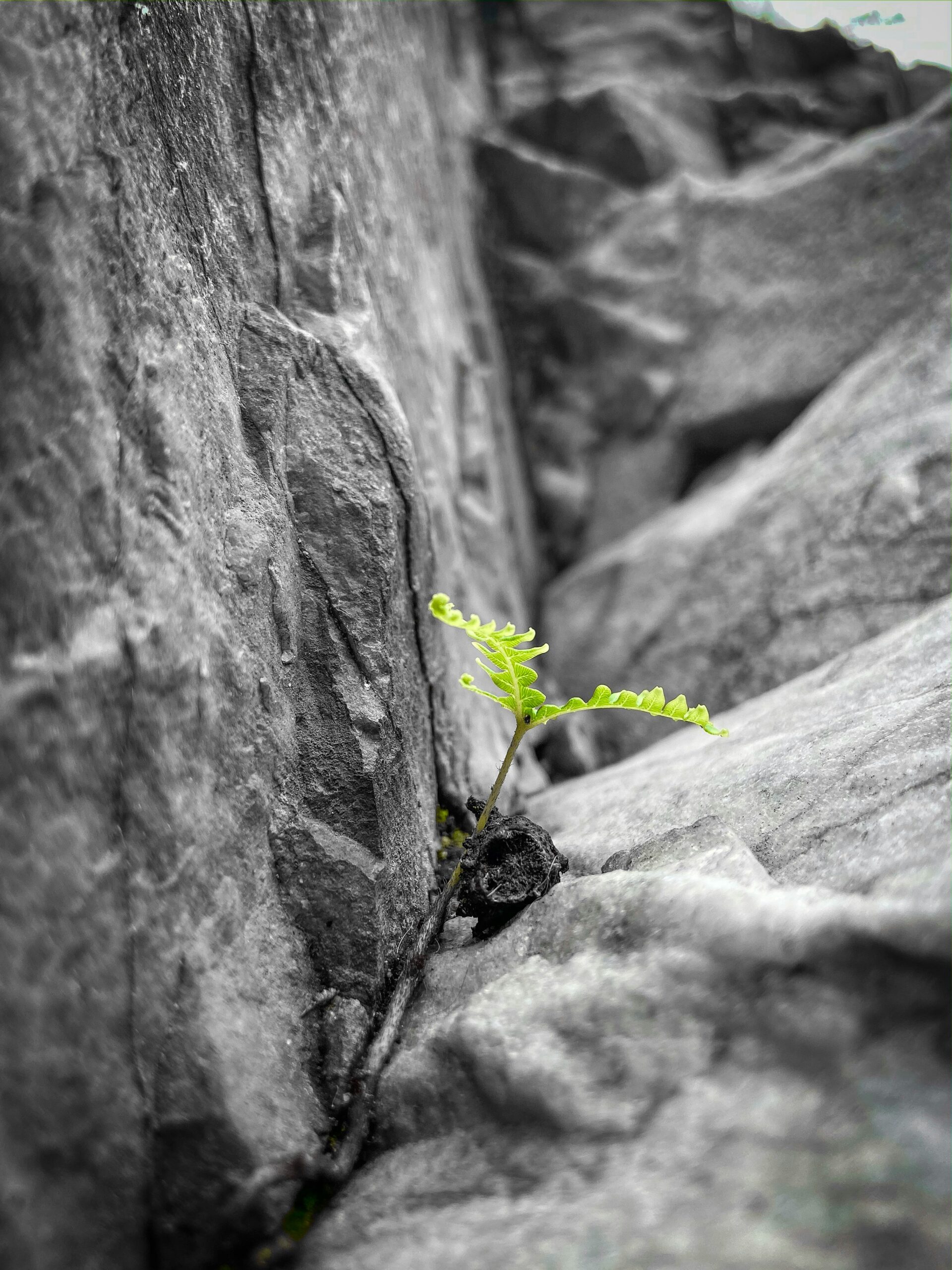 Percorso di resilienza e psicoterapia ericksoniana a Viterbo e Orvieto - Dott. Daniele Delfino